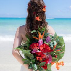 ハイビスカスの切り花