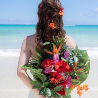 ハイビスカスの切り花